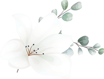 assets/floating_image_16.png